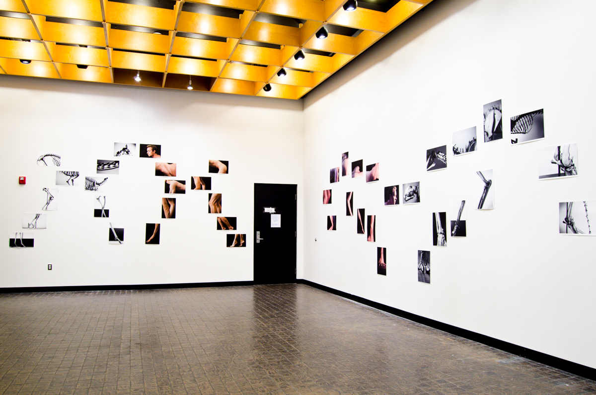 BEASTS installation view 02