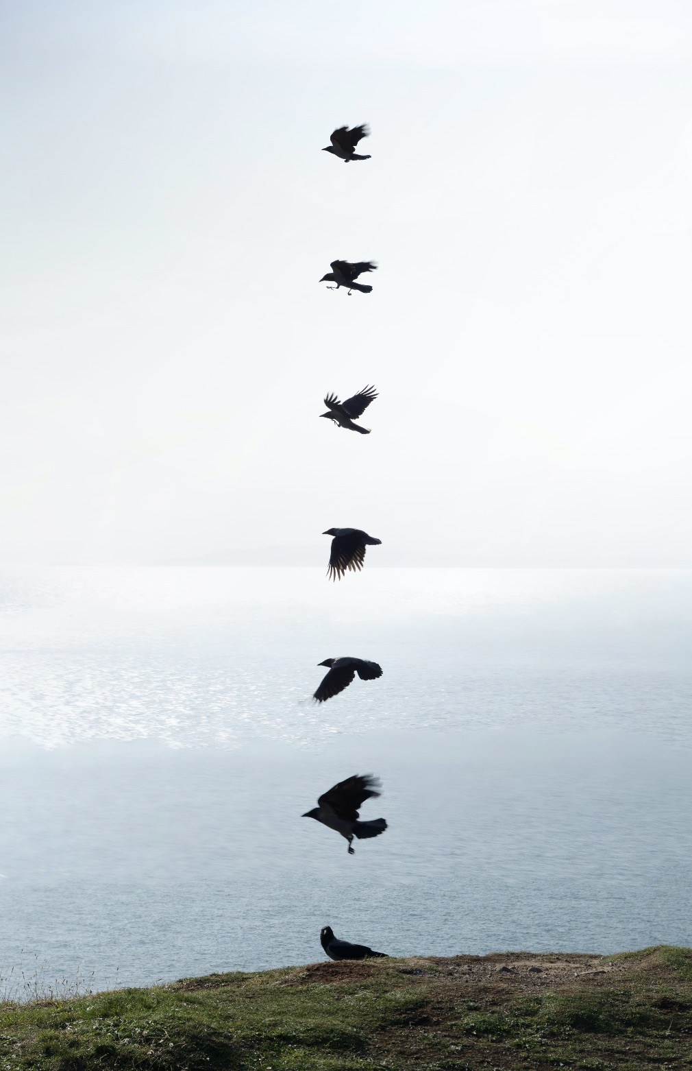 Dreams piece 03