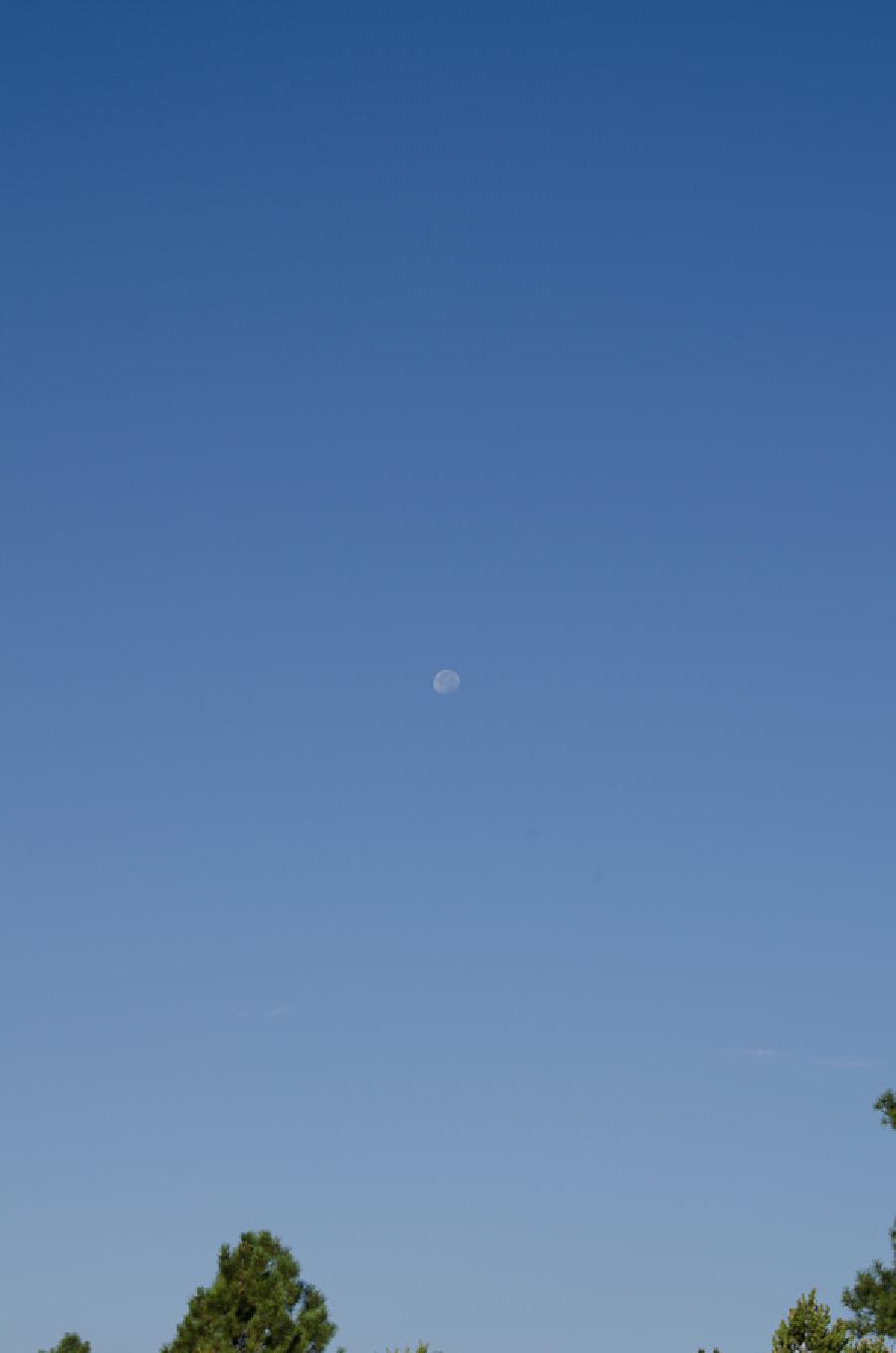  images/moon-2380.jpg 